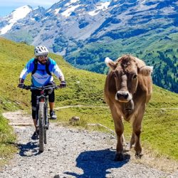 "Mountainbike Tour mit alles" Zwischen Engelberg und Melchsee-Frutt